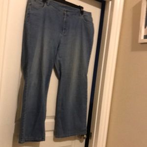 Talbots Blue Flare Wide Leg Denim